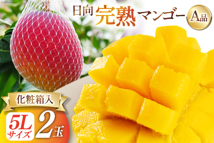 
            【2026年夏発送】 宮崎 完熟 マンゴー 秀品 A品 5L×2玉 化粧箱入り [宮崎県農業協同組合日向地区本部（販売課） 宮崎県 日向市 452060663] 果物 フルーツ 完熟マンゴー 甘い 日向 化粧箱 期間限定 冷蔵
          