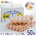 【ふるさと納税】さくら色したふこい卵！見奈須フーズの新鮮たまご！50個入り。 | 鶏卵 生卵 たまご フコダイン 食物繊維 卵焼き 目玉焼き たまごかけご飯 ゆでたまご 親子丼 普段使い まとめ買い 敬老の日 返礼品 沖縄県 沖縄 南城市