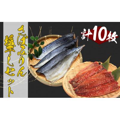 ふるさと納税 南伊豆町 湯の花　サバみりん、サバ塩干しセット 合計10枚