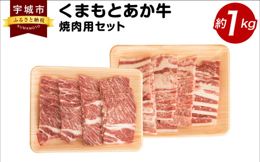 
くまもとあか牛 焼肉用 セット 合計約1kg カルビ 肩ロース 和牛 牛肉
