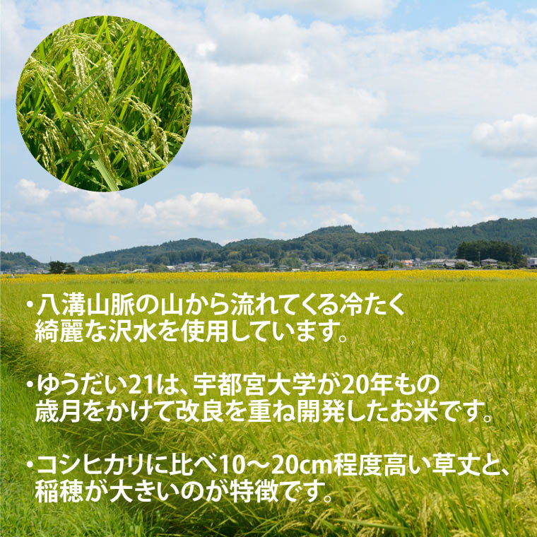 TVでも話題のお米 ゆうだい21 ＼令和8年産／【数量限定】あい　farm　やなぎのお米　令和8年産 ゆうだい21 玄米 20kg | 栃木県 益子町 ふるさと納税 お米 米 20kg 玄米 (DQ0