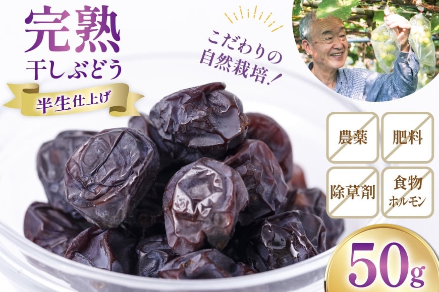 
            【期間限定発送】 ドライフルーツ 自然栽培 完熟 干しぶどう マスカットベリーA セミドライ 50g 1袋 [砂山ぶどう園 石川県 宝達志水町 38601237] ドライ フルーツ くだもの 果物 葡萄 ぶどう ブドウ
          