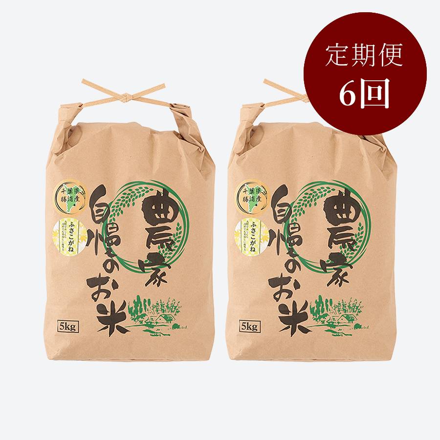 ＜いちの川＞千葉県が独自の独自品種 もっちりとした粘り ふさこがね １０kg定期便　6カ月コース