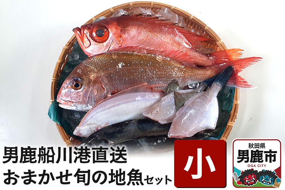 男鹿船川港直送おまかせ旬の地魚セット（小）秋田県 男鹿市 萬漁水産|23_mgs-010101