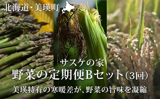 【先行予約】 野菜 定期便B 3回便 <令和8年産 >サスケの家 グリーンアスパラ2kg（L~2L）、スイートコーン12本（1品種）、米(ななつぼし)10kg[062-02]