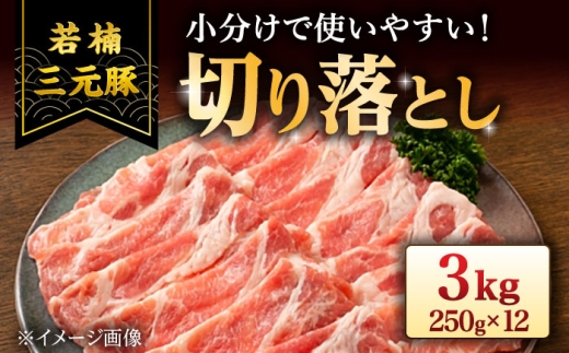 若楠三元豚 切り落とし 3kg（250g×12p）/ナチュラルフーズ [UBH124] 豚肉 豚 小間切れ こま切れ 小分け 豚切り落とし 豚肉切り落とし 豚小間切れ こま切れ 豚こま 小分け 国産