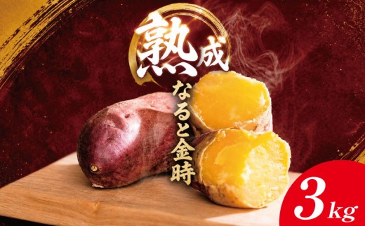 なると金時 3kg SSサイズ 【10月から5月末まで発送】 野菜 さつまいも 焼き芋 芋 鳴門金時 なると金時 ヤサイ やさい 食材 新鮮 旬 産地直送 徳島 鳴門