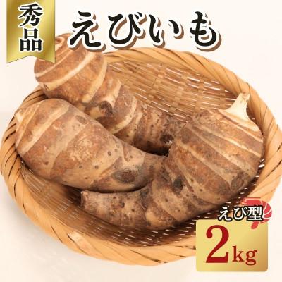 ふるさと納税 京都府 えびいも(里芋) 秀品 えび型 2kg(5-15個入) 伝統京野菜 煮物やあんかけ、素焼き、椀だねに