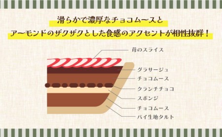 生チョコムースのタルトケーキ  [SAA002] ケーキ
