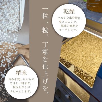 ふるさと納税 余市町 ◇令和7年産◇余市産 ななつぼし(玄米) 5kg_Y067-0327 |  | 02