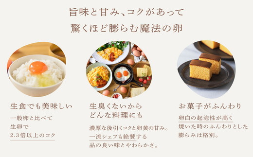 【6ケ月定期便】磨宝卵GOLD/贈答箱 30個入｜ たまご 卵 鶏卵 定期便 栃木県 宇都宮市 ※離島への配送不可