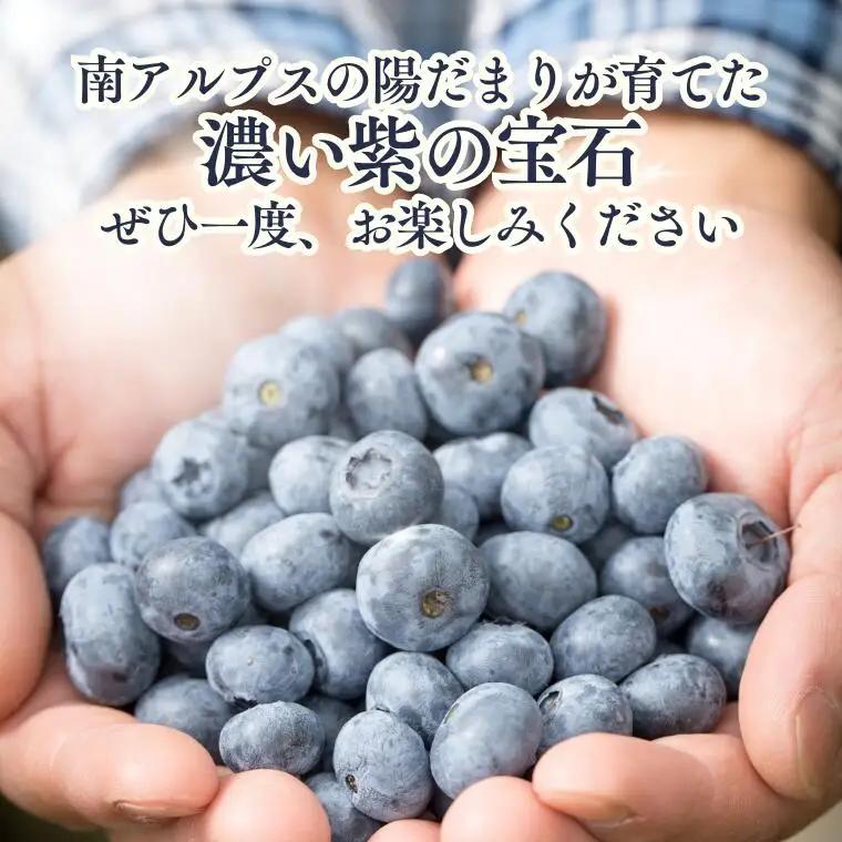KB02 ブルーベリー 約600g ／ 2026年6月下旬頃から発送予定//南信州 国産 長野県産 フレッシュブルーベリー 大粒 甘い 人気 新鮮 厳選 贈答