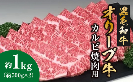 黒毛和牛オリーブ牛 カルビ焼肉用 約500ｇ×２_M18-0022