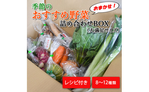 
季節のおすすめ野菜おまかせ詰め合わせBOX 8種～12種類 大満足サイズ 野菜セット【16102】
