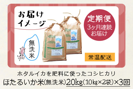 【訳あり】ほたるいか米（無洗米20kg）×3回 計60kg【3ヶ月定期便】