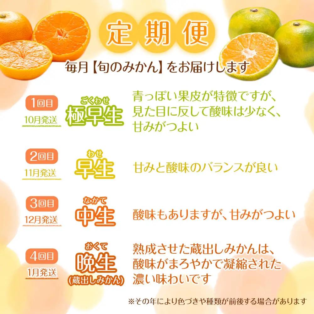 ［定期便］森本農園の手選別 家庭用みかん 約1.5kg サイズ混合 和歌山県産 ［北海道・沖縄・離島配送不可］［2026年10月～2027年1月まで全4回お届け］ ［RN162］