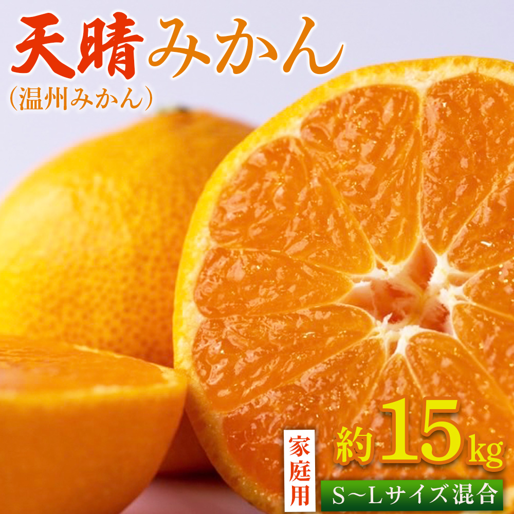 ＜愛媛県明浜産 天晴みかん（温州みかん）約15kg S〜L混合＞ 家庭用 訳あり ワケアリ 果物 くだもの フルーツ ミカン 柑橘 特産品 笑丸 愛媛県 西予市【常温】『2026年11月中旬〜2027年1月上旬迄に順次出荷予定』