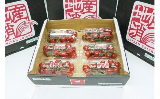 
                  【先行予約】赤糖房（ミニトマト）【160ｇ×6パック】
                