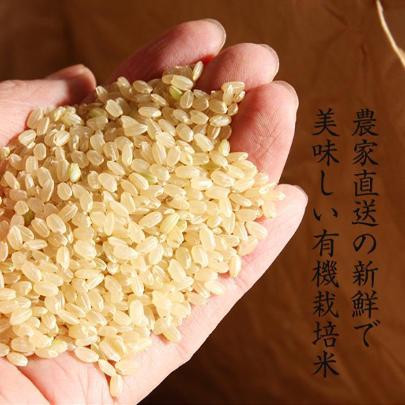 
【有機栽培米】丹波篠山産コシヒカリ　玄米　5kg
