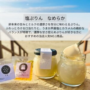 【うまか芦屋塩をかけて食べるぷりん】自家製塩ぷりんオリジナルセット【9個入り】【配送不可地域：離島・北海道・沖縄県・東北】【1526948】