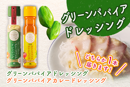 産地直送！旬の野菜（5～8種類）＆ドレッシング セット 3か月定期便 おまかせ 詰合せ 宮崎県新富町産【E213】