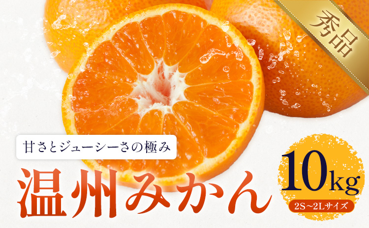 みかん 温州みかん 約10kg 日本フルーツ株式会社 熊本県 長洲町 《11月上旬～12月上頃に出荷予定（土日祝除く）》  果物 秀品 フルーツ スイーツ デザート ギフト ご贈答
