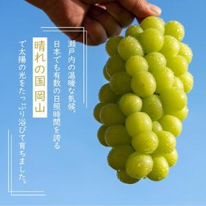 岡山県産 ぶどう  2026年発送 ご家庭用 シャインマスカット 晴王 約400g×2房 計800g ブドウ フルーツ 果物