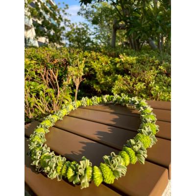 ふるさと納税 ふじみ野市 ハワイアンレイ生花(スプレーマムKuiスタイル1)