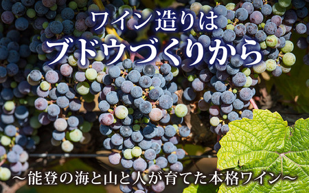 【先行予約】ハズさない能登ワイン６本セット～能登ワインで特に人気のワインを飲み比べ～【年末年始より順次発送】/ 奥能登 能登半島 飲み比べ お酒 酒 人気 アルコール 赤 白 ロゼ わいん 送料無料
