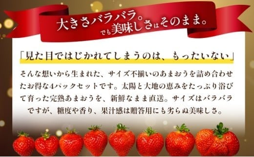 福岡県産 特別栽培 あまおう サイズいろいろMIX 約570g（約285g×2パック）【4月発送】　農園直送 アフター保証 先行予約 福岡産 送料無料 ケーキ ギフト お祝い 限定 季節限定 UN00