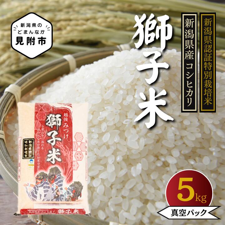 【ふるさと納税】米 5kg 10kg 新潟県産 こしひかり 特別栽培米 コシヒカリ コスパ 真空パック米「獅子米」 お米 精米 ごはん ブランド 品種 定期便 送料無料 新潟県認証米 ご飯 安心安全 ブランド 減農薬 お米 おこめ 新潟産 新潟 見附 見附市