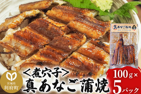 真あなご蒲焼 100g×5P