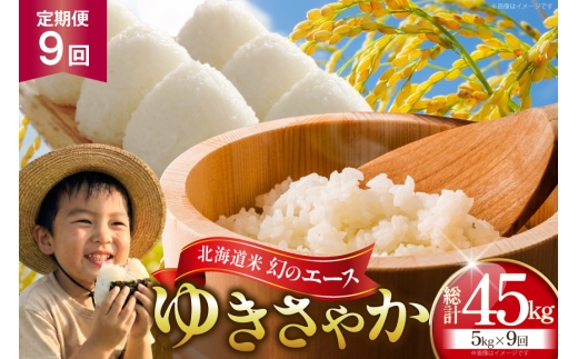 米 令和8年産 新米 ゆきさやか 5kg 9回 定期便 総計 45kg [笹田ファーム 北海道 剣淵町 14656466] お米 おこめ こめ コメ 定期配送 ご飯 ごはん 白米 精米 令和8年