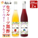 【ふるさと納税】生フルーツ黒酢セット(各500ml)桷志田(かくいだ)の長期熟成黒酢を使用したフルーツビネガー！ブルーベリーとりんごの2種類【福山黒酢】