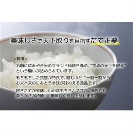 【だて正夢】宮城県産 令和7年産 精米 10kg(5kg×2袋)【1700766】