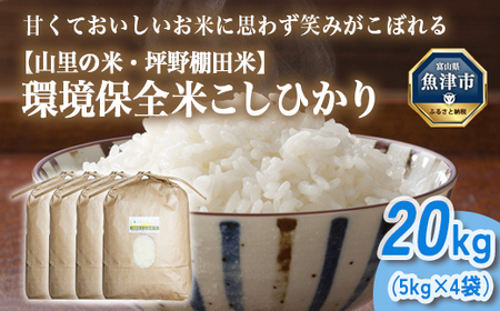 山の湧き水 寒暖差 山里 山里の米･坪野米 R8年産 こしひかり 20kg　※北海道・沖縄・離島への配送不可 ※2026年10月～発送