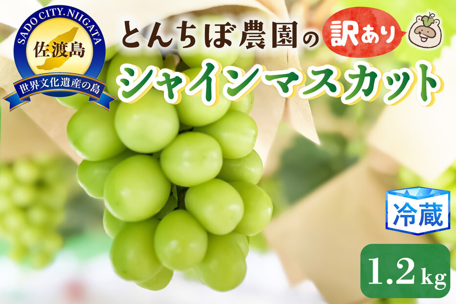 佐渡産シャインマスカット訳あり1.2kg（2?3房）
