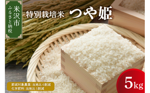 【先行予約】令和8年産 つや姫 5kg 特別栽培米 【節減対象農薬：当地比 6割減・化学肥料：当地比 5割減】 ブランド米 産地直送 2026年産
