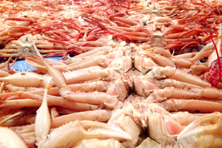 鳥取県産 訳あり蒸し紅ずわいがに 2枚【ズワイガニ ずわいがに 紅ズワイガニ 紅ずわい カニ かに 蒸しガニ 訳あり 早期受付 季節限定 カニしゃぶ 冷蔵配送 お祝い お歳暮 お年賀 プレゼント ゆで