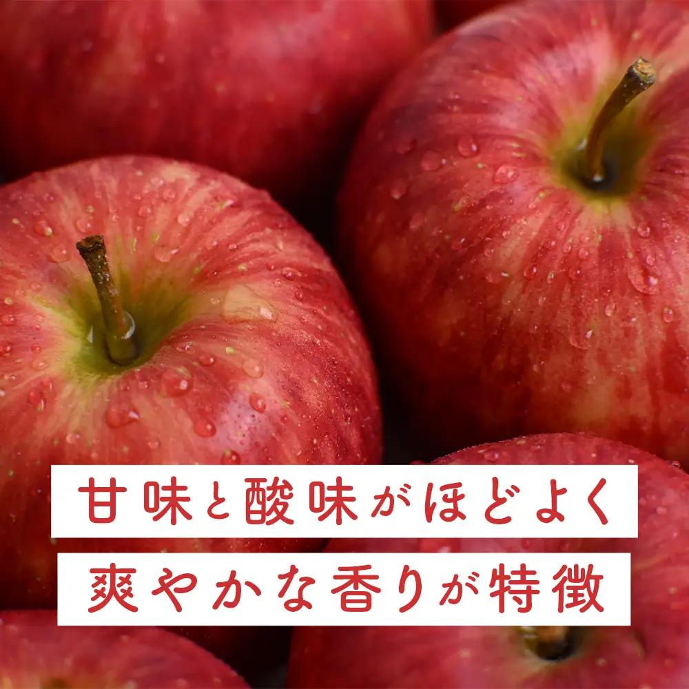 青森県産りんご シナノドルチェ 約5kg 10月上旬～ りんご