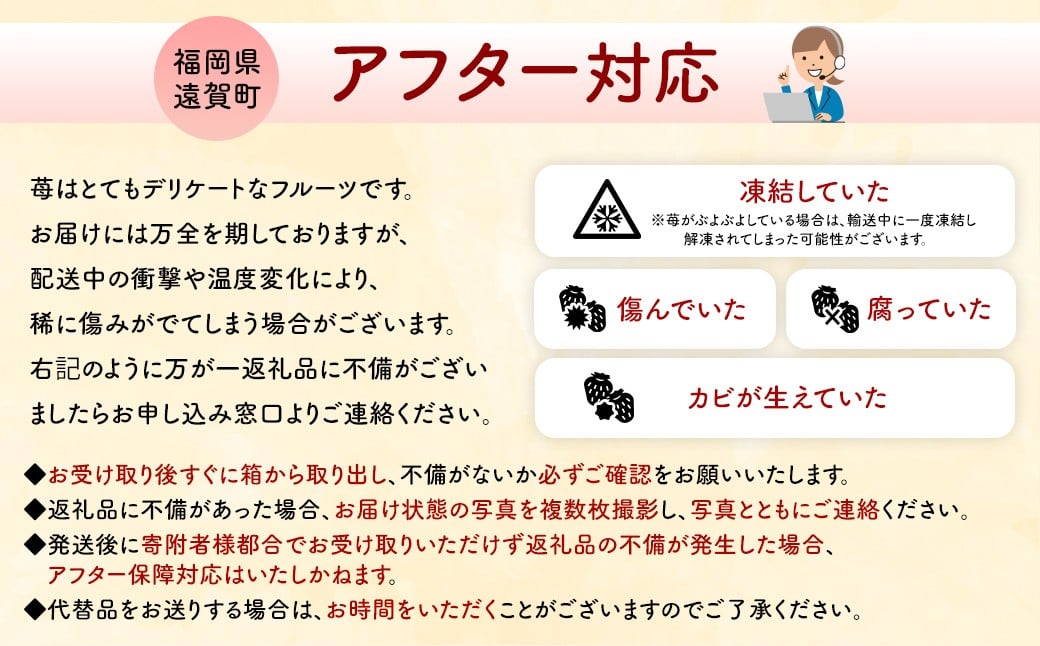 【数量限定】【2026年2月上旬～4月上旬発送予定】福岡県産 あまおう 270g×2パック