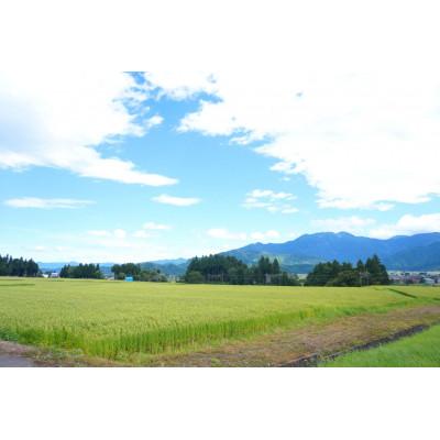 ふるさと納税 南魚沼市 【令和7年産】2kg/南魚沼産コシヒカリ　精米　うちやま農園のお米/発祥の地 |  | 01