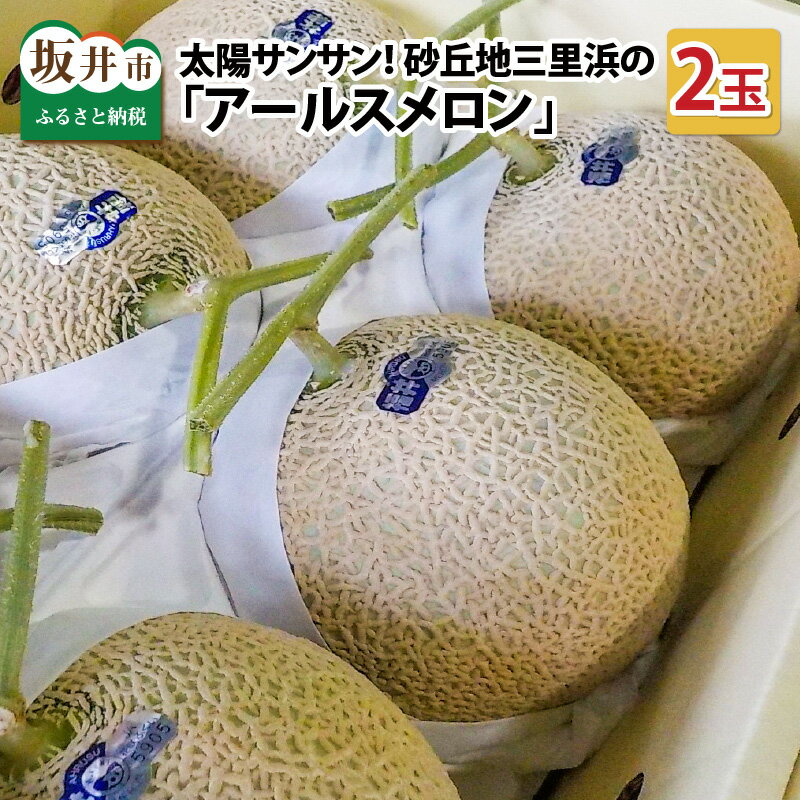【ふるさと納税】【先行予約】太陽サンサン砂丘地三里浜の アールスメロン 2玉【2025年9月上旬以降順次発送予定】