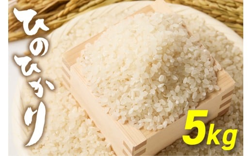 令和7年産！「ひのひかり」5kg【ほたるの里】_HA1786