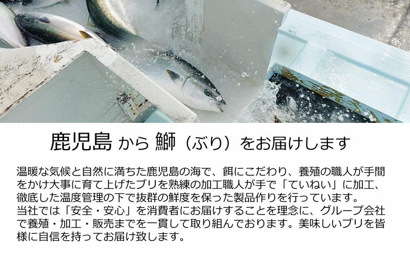 B2-4767／【鹿児島産ぶり】冷凍・ぶり皮無ポーション（背腹計４ｐ）