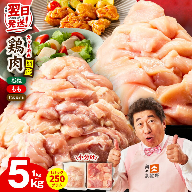 【ふるさと納税】【最短翌日発送】 国産 鶏肉 もも むね カット済み 1kg ～ 5kg 選べる 発送月 肉 氷温熟成 極味付け 小分け パック 冷凍 普段使い サイズ不揃い 丸善味わい加工 5営業日 大阪府 泉佐野市 送料無料 肉の泉佐野 家計応援