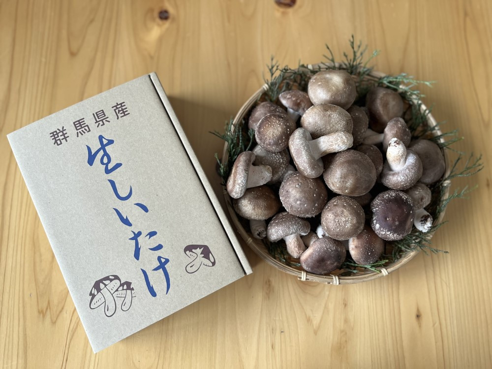お届けの箱と一緒に撮影