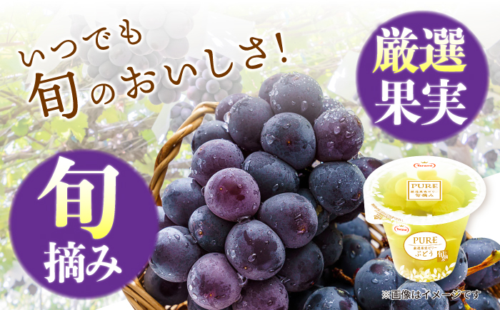 たらみ PURE ぶどう 6個 / ゼリー フルーツゼリー 果実ゼリー 果物 フルーツ くだもの / 諫早市 / 株式会社たらみ [AHBR005]