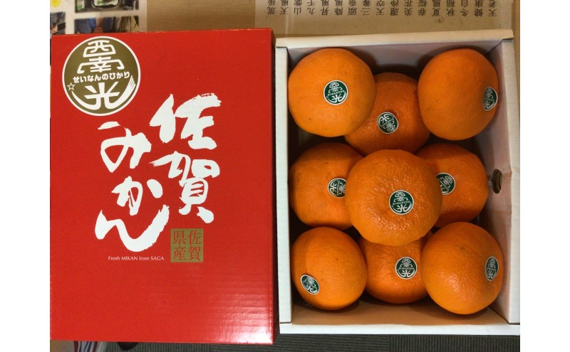 
                  [№5353-0595]西南の光 2.5kg（化粧箱入り） 柑橘 果物 フルーツ デザート ※配送不可:離島
                