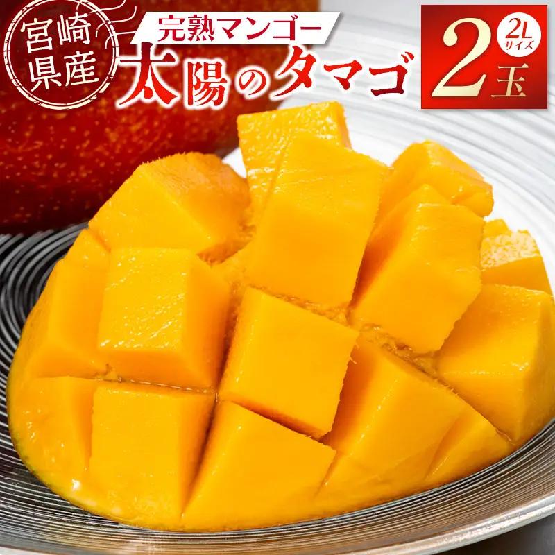 太陽のタマゴ マンゴー 太陽のタマゴ[宮崎 2L 2玉]